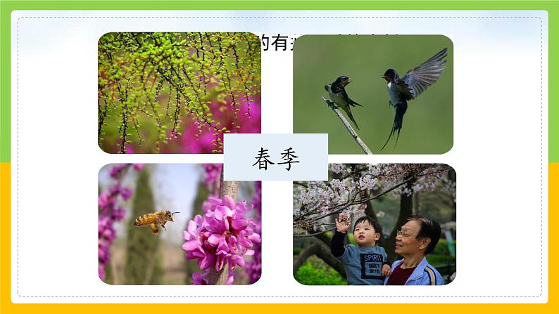 教科版 科学 二年级上册《不同的季节》课件+教案（含教学反思）07