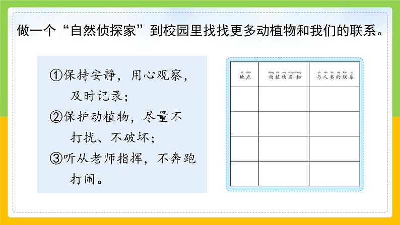 教科版 科学 二年级上册《做大自然的孩子》课件+教案（含教学反思）08