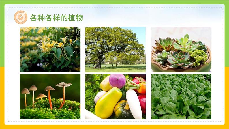 教科版 科学 二年级上册《地球家园有什么》课件+教案（含教学反思）07