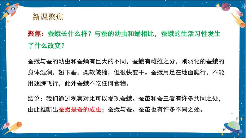 【核心素养】2.5《茧中钻出了蚕蛾》课件+教案（教科版科学三下）04