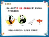 【核心素养】2.8《动物的一生》课件+教案（教科版科学三下）
