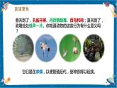 【核心素養(yǎng)】2.7《動(dòng)物的繁殖》課件+教案（教科版科學(xué)三下）