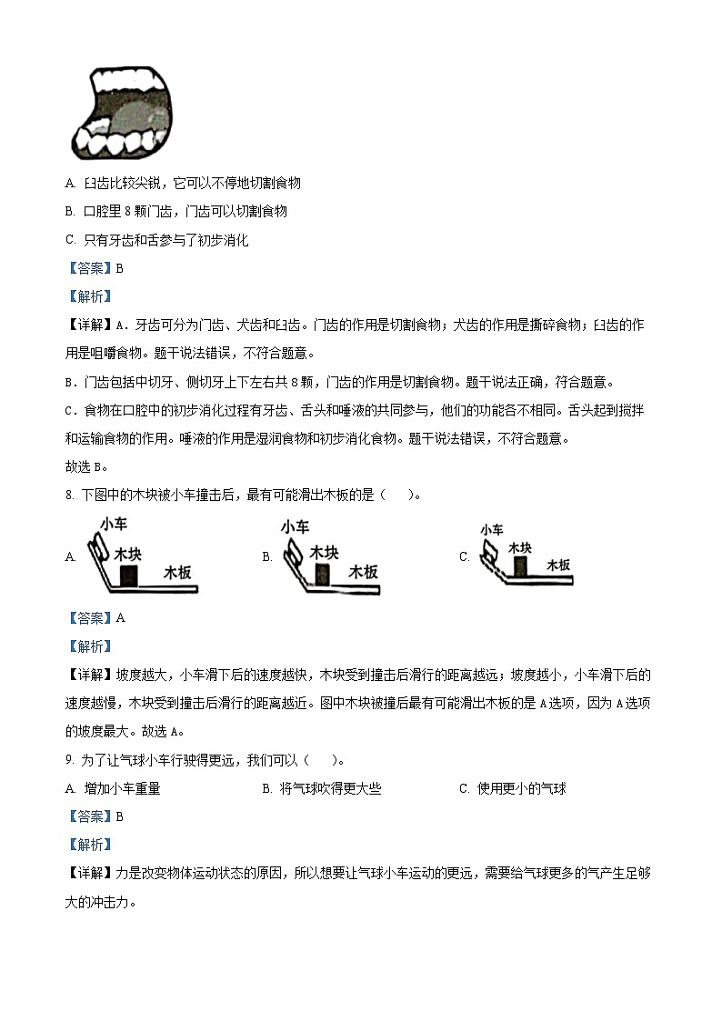 2023-2024学年云南省文山壮族苗族自治州丘北县教科版四年级上册期末考试科学试卷03