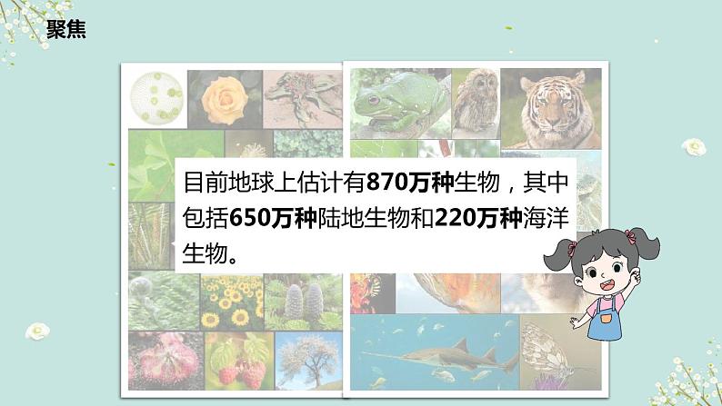 教科版科学六下2.1《校园生物大搜索》课件+教学设计+素材05