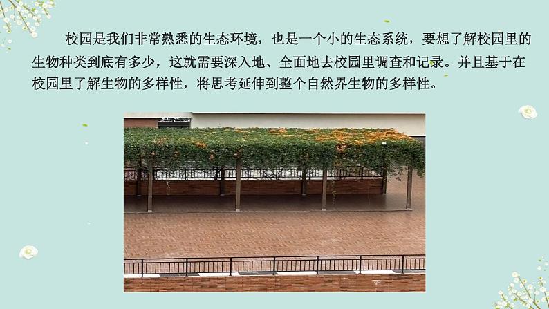 教科版科学六下2.1《校园生物大搜索》课件+教学设计+素材07