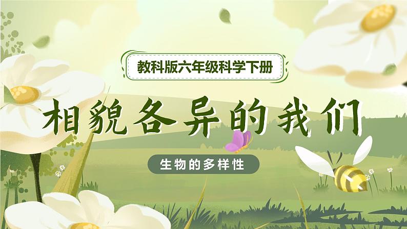 第5课 相貌各异的我们（教学课件）-2023-2024学年六年级科学下册同步精品课堂系列（教科版）01