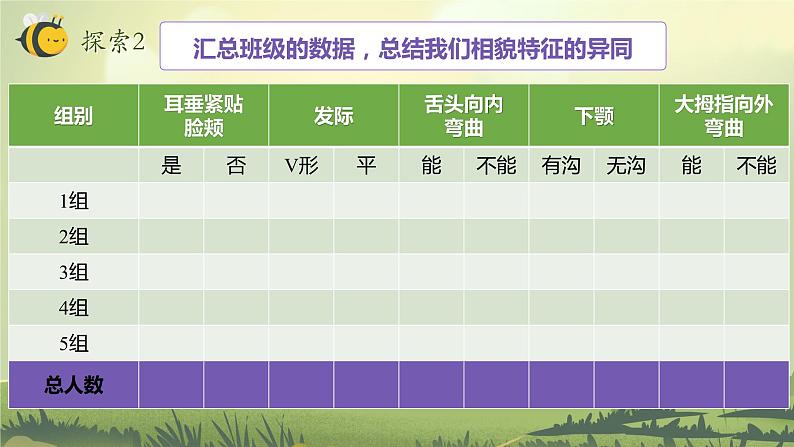 第5课 相貌各异的我们（教学课件）-2023-2024学年六年级科学下册同步精品课堂系列（教科版）08