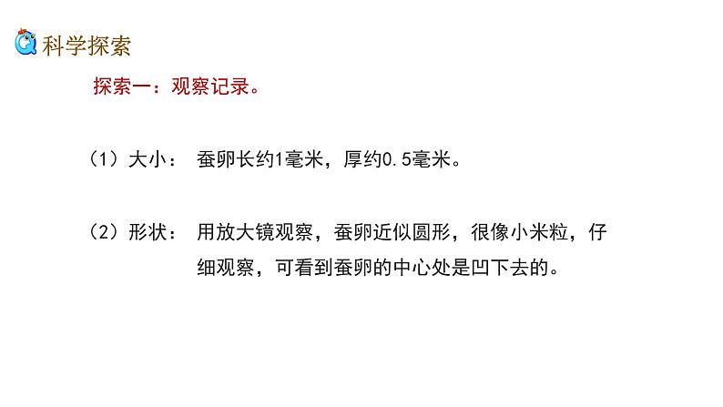 1、《迎接蚕宝宝的到了》课堂实录+教案+教学课件+试题08