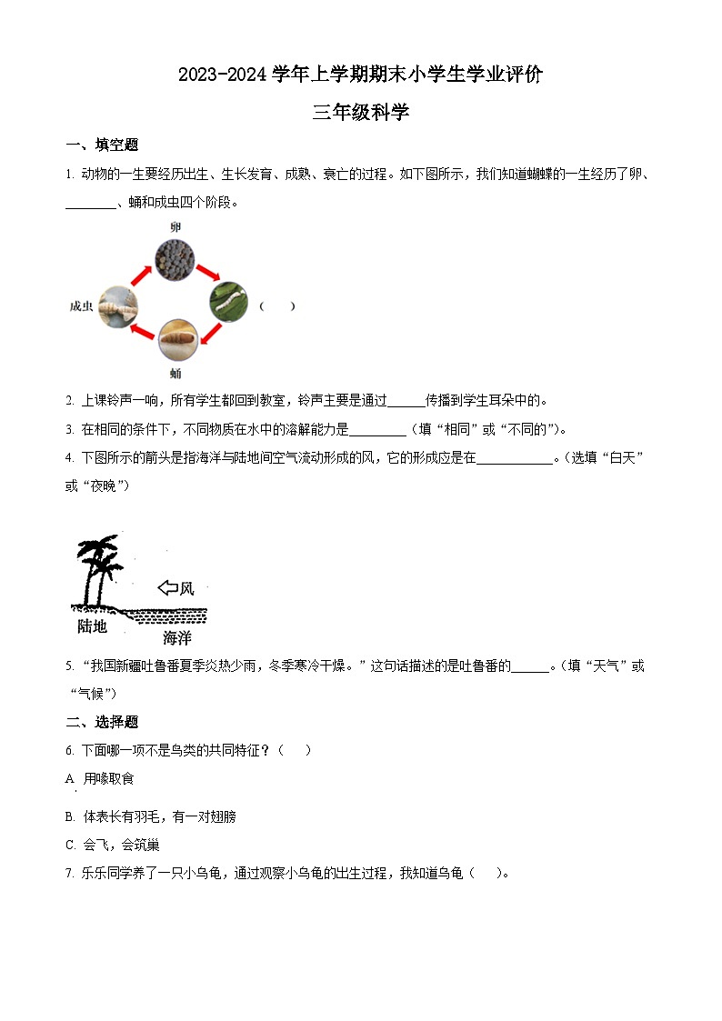 2023-2024学年河南省商丘市睢县大象版三年级上册期末考试科学试卷（原卷版+解析版）01