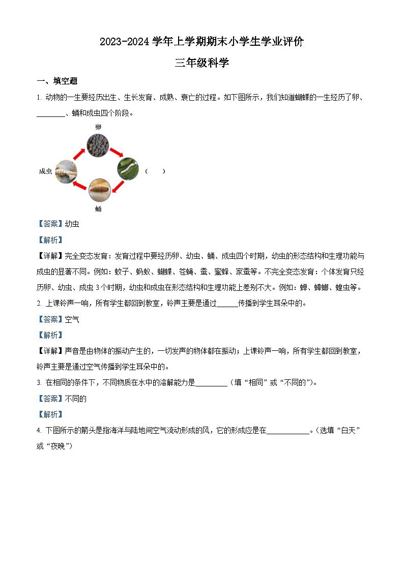 2023-2024学年河南省商丘市睢县大象版三年级上册期末考试科学试卷（原卷版+解析版）01