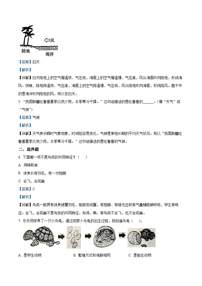 2023-2024学年河南省商丘市睢县大象版三年级上册期末考试科学试卷（原卷版+解析版）02