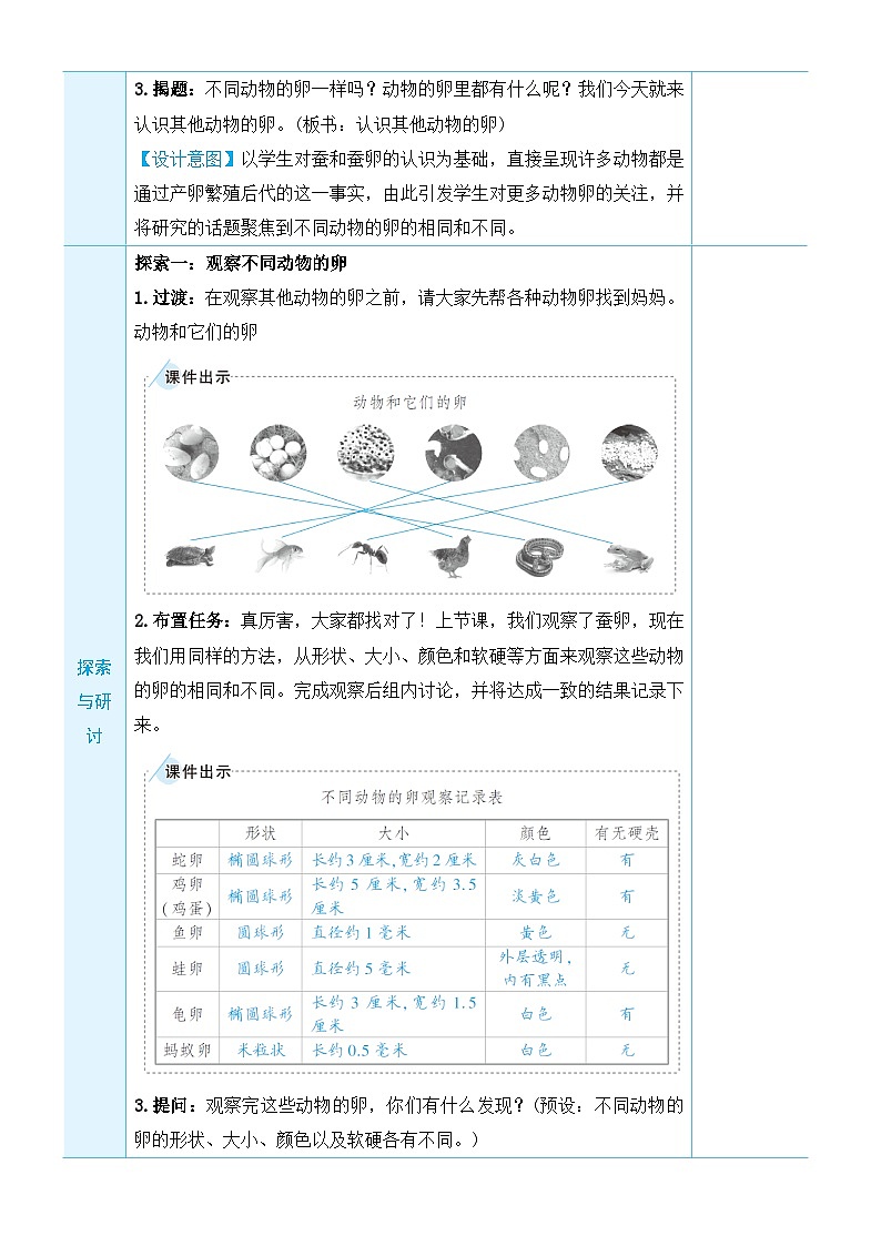 教科版科学三年级下册第2课 认识其他动物的卵教案第2页