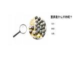 2、 《认识其他动物的卵》课堂实录+教案+教学课件+试题