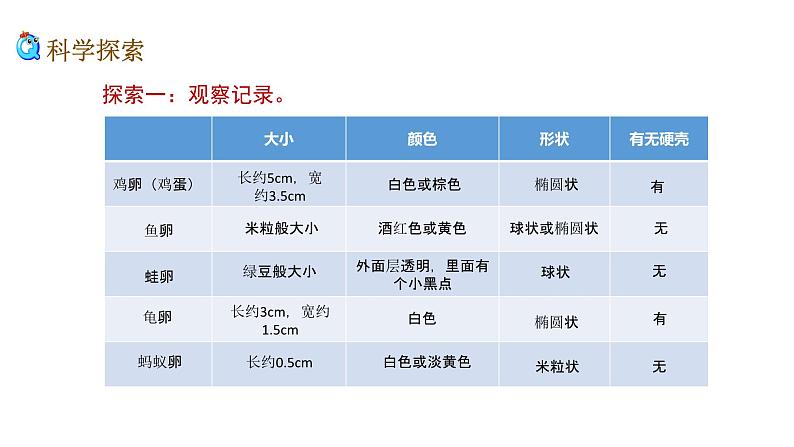 2、 《认识其他动物的卵》课堂实录+教案+教学课件+试题08