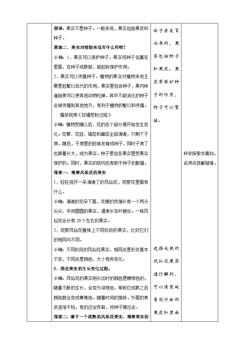 1.6《果实和种子》教案 教科版（2017）四年级科学下册第2页