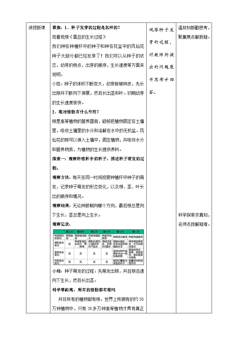 1.3《种子长出发根》教案 教科版（2017）四年级科学下册第2页