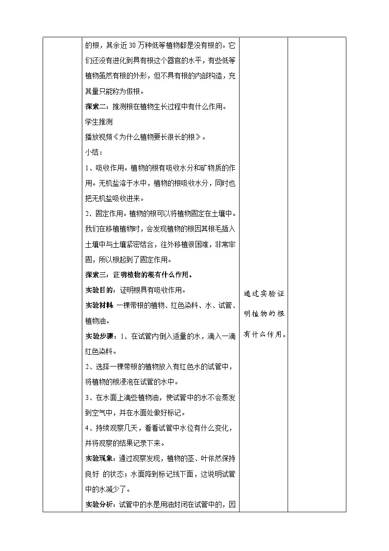 1.3《种子长出发根》教案 教科版（2017）四年级科学下册第3页