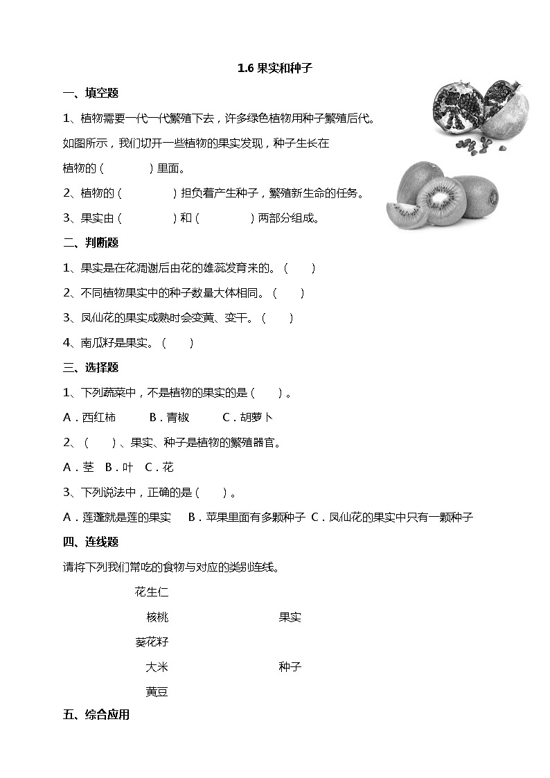 1.6《果实和种子》试题（含解析）教科版（2017）四年级科学下册01
