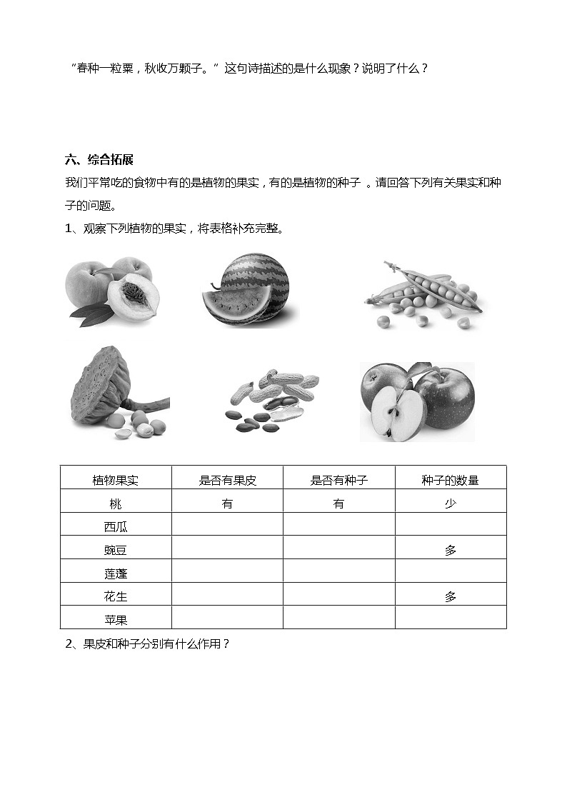 1.6《果实和种子》试题（含解析）教科版（2017）四年级科学下册02