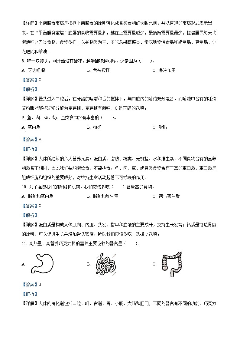 精品解析：2023-2024学年广东省深圳市罗湖区教科版四年级上册期末考试科学试卷（解析版）第3页