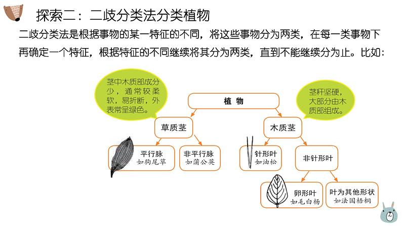 2.2《制作校园生物分布图》第6页