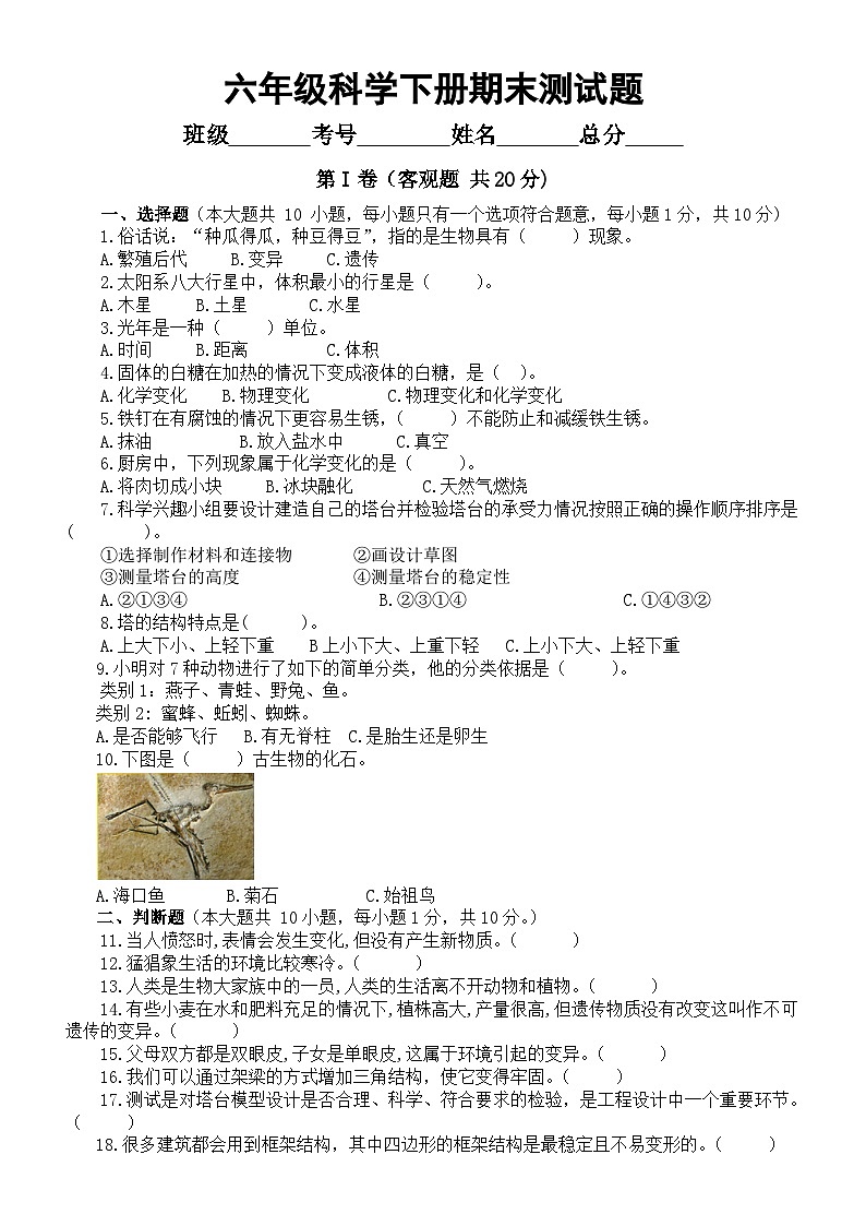 小学科学教科版六年级下册期末测试题3（2024春）（附参考答案）01