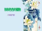 教科版科学六下2.3《形形色色的植物》课件+教学设计+素材