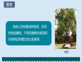 教科版科学六下2.3《形形色色的植物》课件+教学设计+素材
