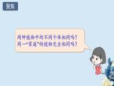 教科版科学六下2.3《形形色色的植物》课件+教学设计+素材