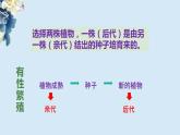 教科版科学六下2.3《形形色色的植物》课件+教学设计+素材