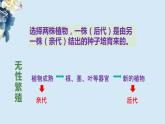 教科版科学六下2.3《形形色色的植物》课件+教学设计+素材
