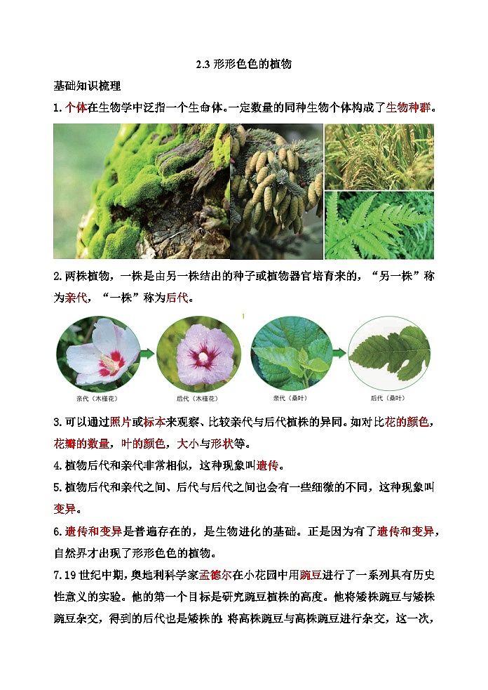 2.3《形形色色的植物》第1页