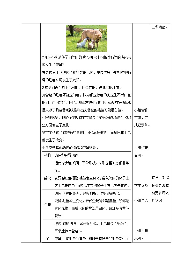 教科版科学六下2.4《多种多样的动物》课件+教学设计+素材02