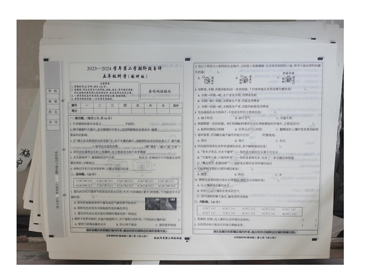 河北省沧州市青县第二实验小学等2校2023-2024学年五年级下学期3月月考科学试题第1页