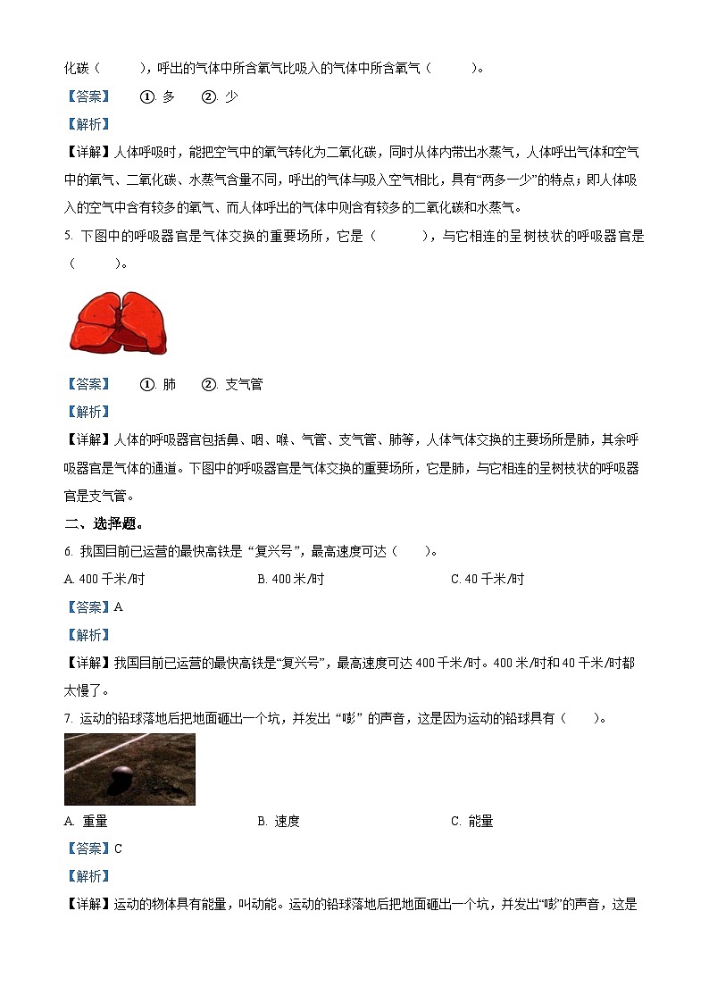 精品解析：2023-2024学年河南省商丘市睢县大象版四年级上册期末考试科学试卷（解析版）第2页