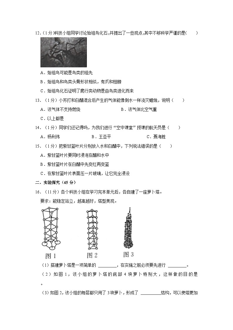 浙江省丽水市莲都区2022-2023学年六年级下学期期末科学试题02