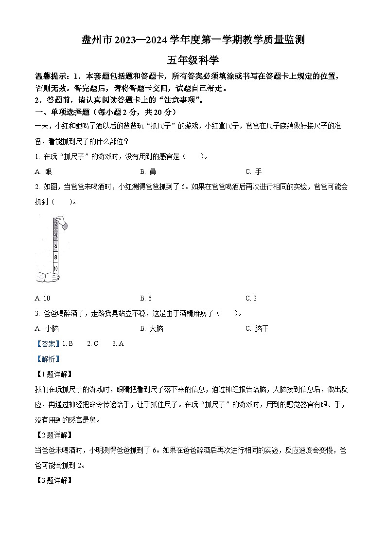 2023-2024学年贵州省六盘水市盘州市大象版五年级上册期末考试科学试卷（原卷版+解析版）01