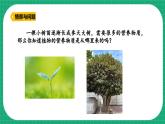 【核心素养】冀教版小学科学六年级上册     12.植物的养分   课件ppt+ 教案