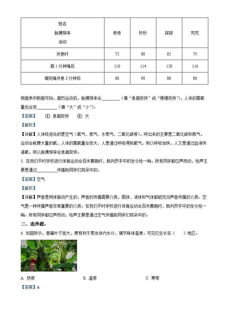 2023-2024学年河南省商丘市睢县大象版六年级上册期末考试科学试卷（原卷版+解析版）02