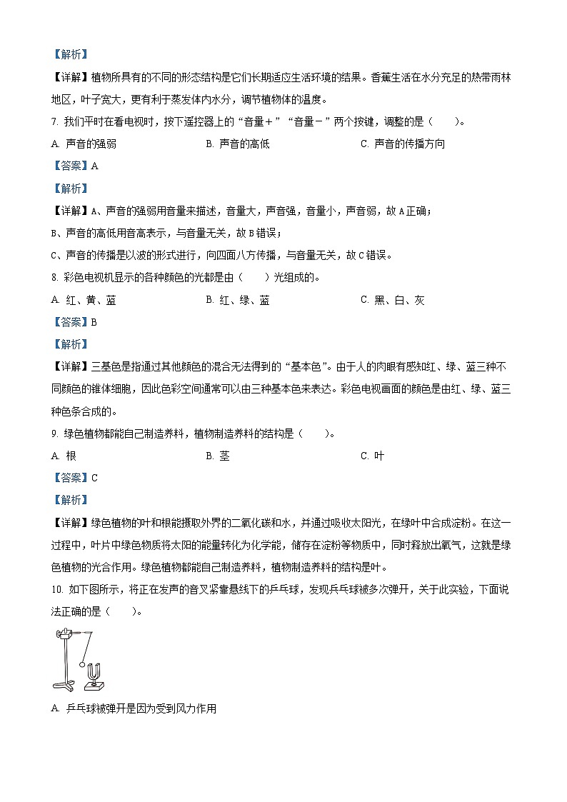 2023-2024学年河南省商丘市睢县大象版六年级上册期末考试科学试卷（原卷版+解析版）03