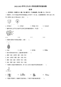 浙江省金华市义乌市教科版六年级2022-2023学年下册期末考试科学试卷