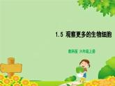教科版（2017秋）科学六年级上册-1.5 观察更多的生物细胞课件