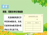 教科版（2017秋）科学六年级上册-1.5 观察更多的生物细胞课件