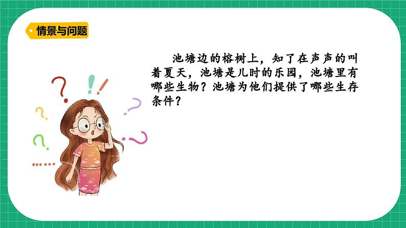 【核心素养】冀教版小学科学六年级上册     14.池塘里的世界   课件ppt+ 教案04