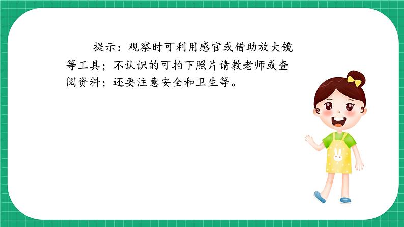 【核心素养】冀教版小学科学六年级上册     14.池塘里的世界   课件ppt+ 教案08