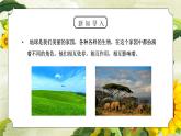 教科版六年级科学上册第四单元《生物的多样性-生物多样性的意义》PPT课件