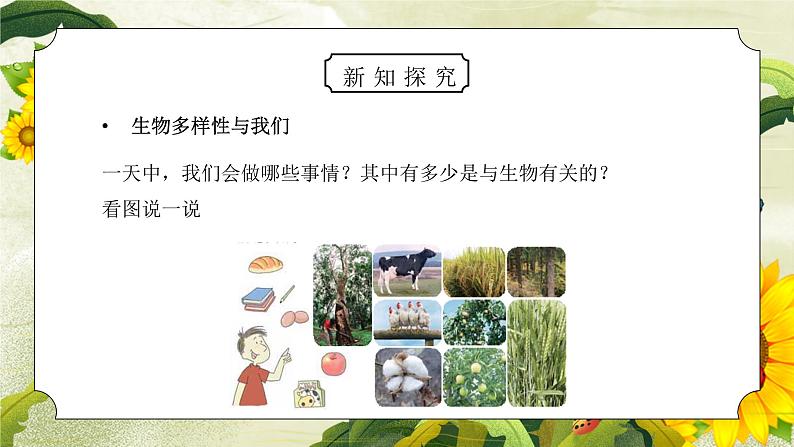 教科版六年级科学上册第四单元《生物的多样性-生物多样性的意义》PPT课件03