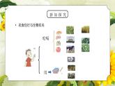 教科版六年级科学上册第四单元《生物的多样性-生物多样性的意义》PPT课件