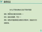 科學大象版六下1.1《動物的家園》同步課件