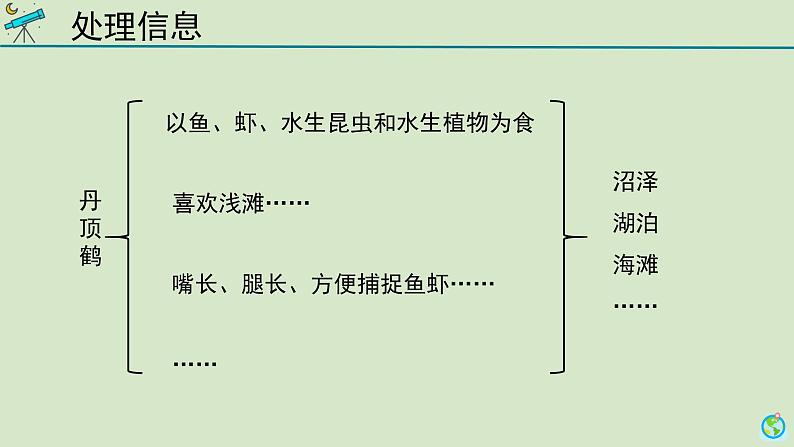 科学大象版六下1.1《动物的家园》同步课件第6页